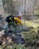 Containment line created for the Greenwood Fire. Photo by Klondyke Kate via US Forest Service